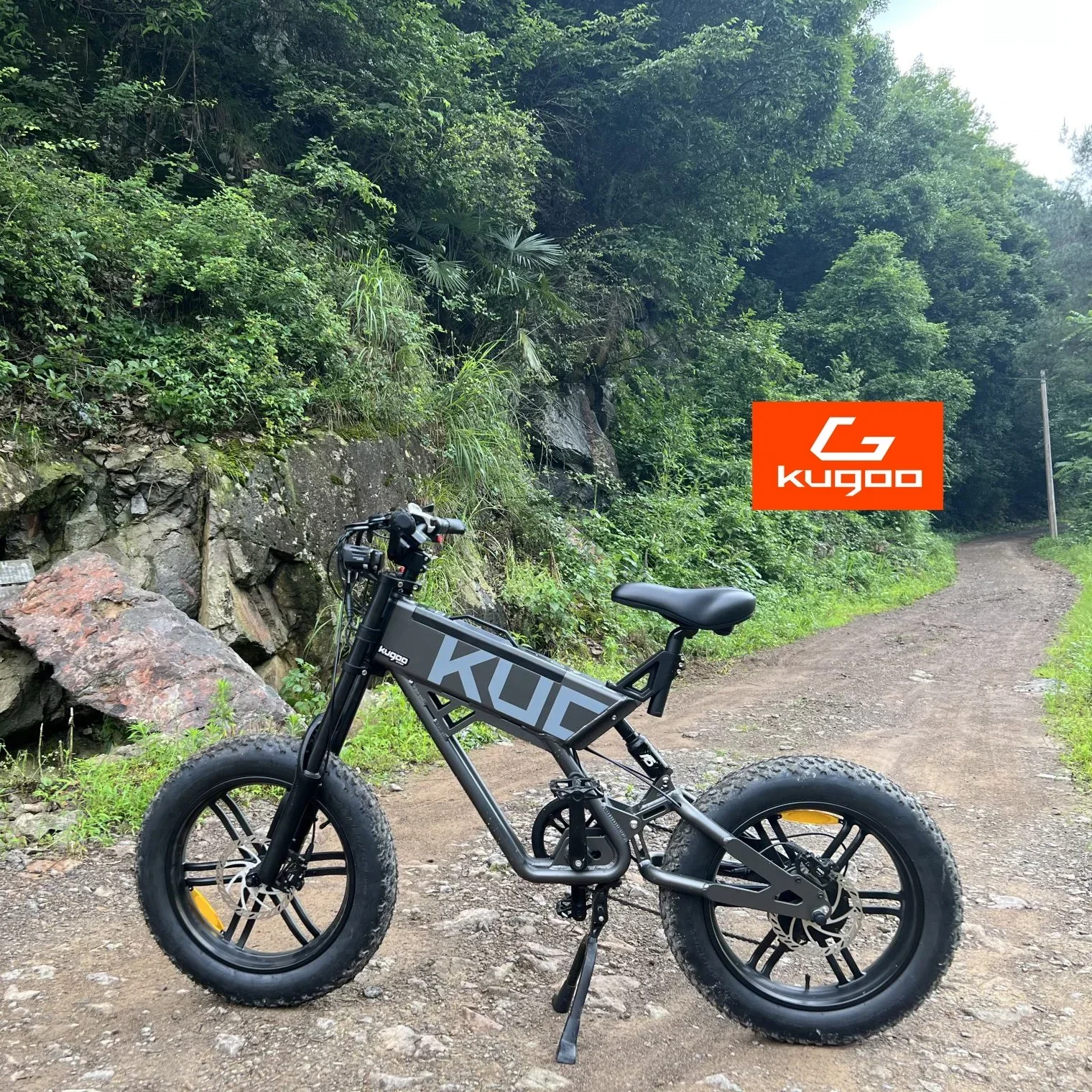 KUGOO 750W E Bicycle 48v 13ah Electric Bike  Electric Bicycle 20 Inch Electric Bike The maximum speed is about 45KM/H