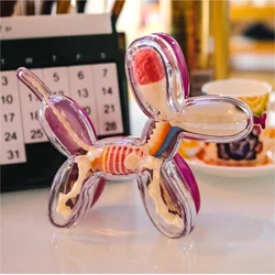 10 Parts 4D Blue Peach Red Color Balloon Dog Transparent Perspective Anatomy Skeleton Bone Puzzle Collection Model Kid Gift