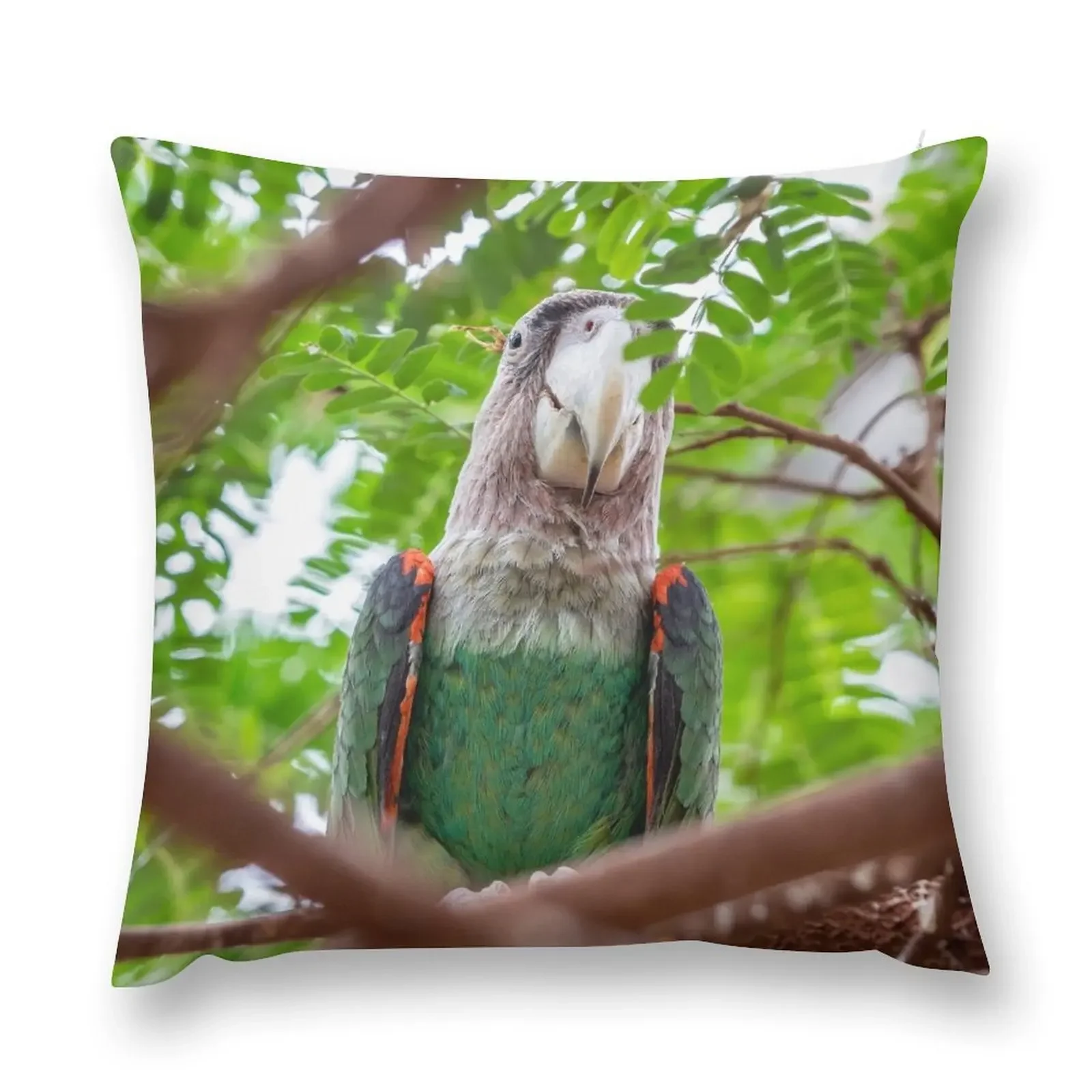 Cape parrot exotic bird sitting on the tree Throw Pillow Christmas Pillows Luxury Pillow Case Sofa Cushion pillow