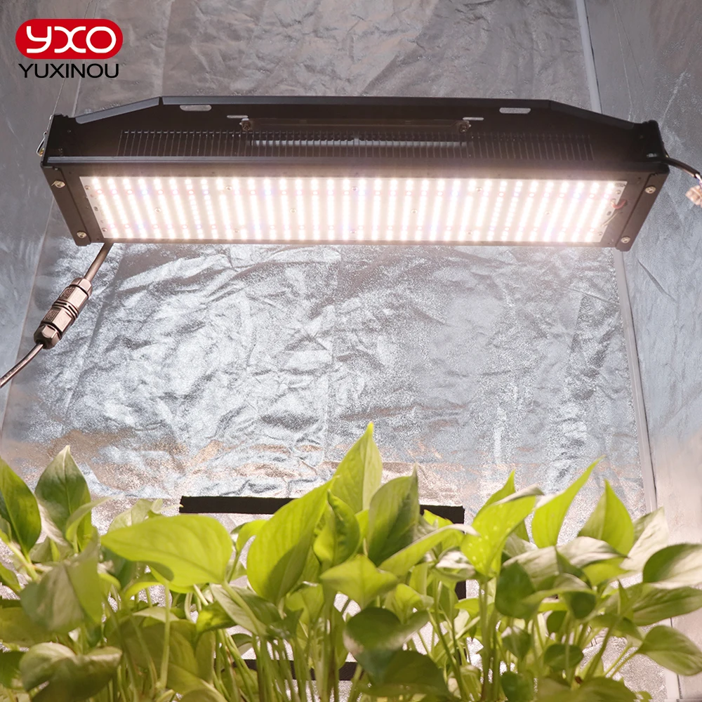 

Samsung Led Grow Light Full Spectrum LM301H 240W Hydroponics Growbox Phytolamp For Plants Tent Flowers Greenhouse Veg Bloom Lamp