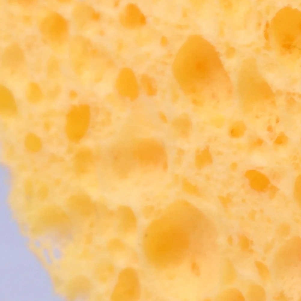 50 قطعة إسفنجة تنظيف الوجه لب الخشب الطبيعي منتفخة السليلوز المضغوطة للتنظيف العميق وإزالة المكياج للبشرة الحساسة