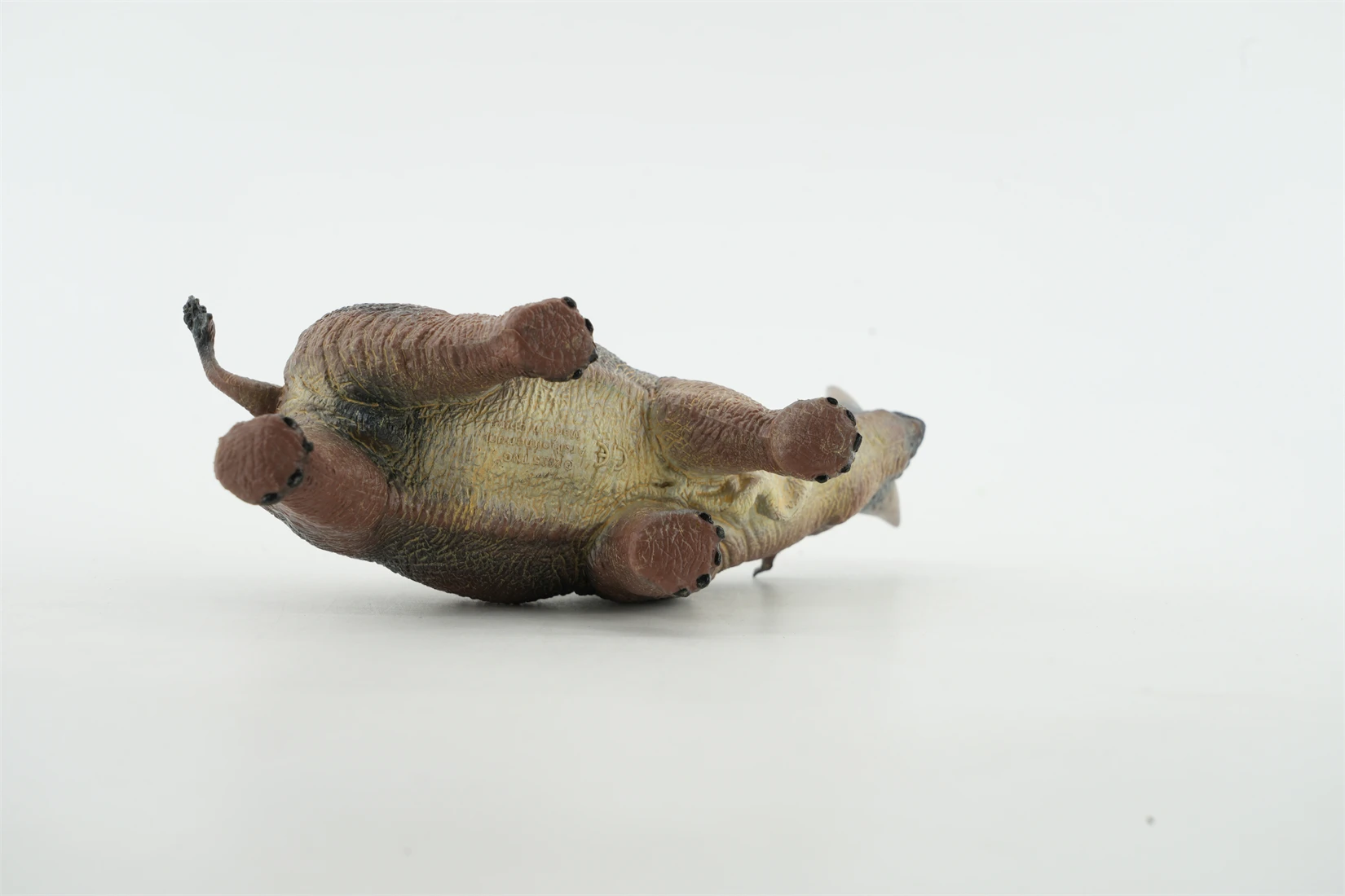 TNG Studio T4010 Arsnoitherium Model Prehistoric Animal Collection Scene Decoration Birthday Gift Realistic Action Figure