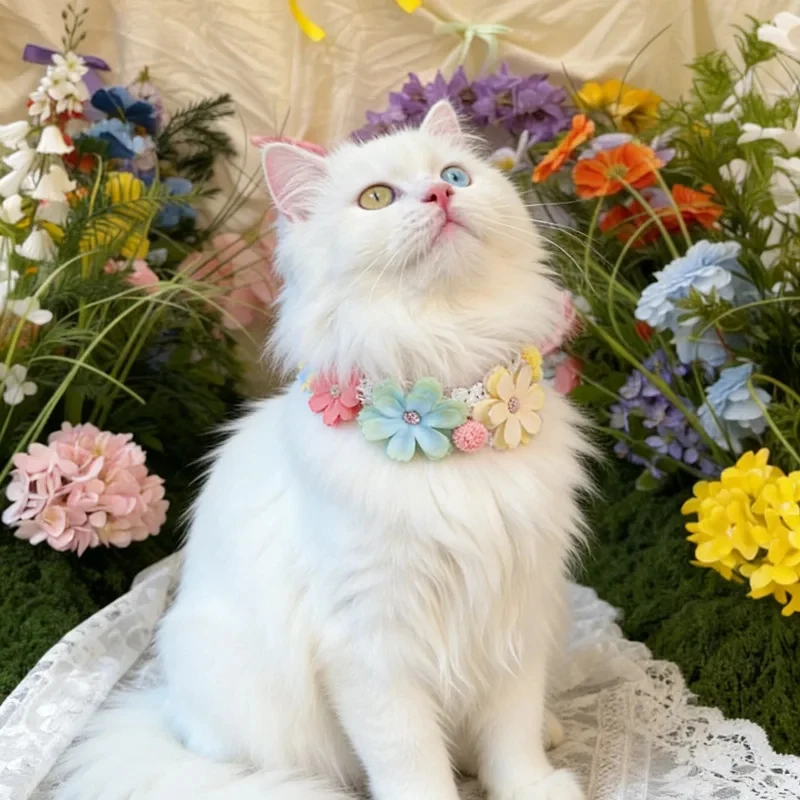 

Gorgeous Colorful Flower Pet Collar Adjustable Sweet Cat Dog Bib Lace Floral Necklace Photography Props