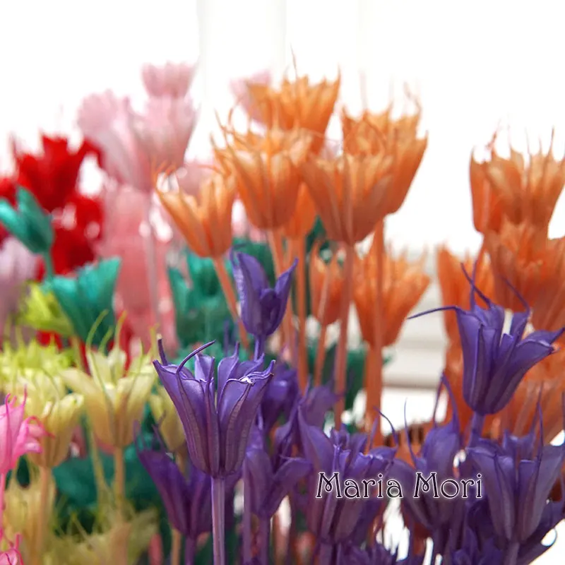35g/Colorful Natural Dried Octagonal Flower Dye for Botanical Art Deco Office Home DIY Material Flower Arrangement