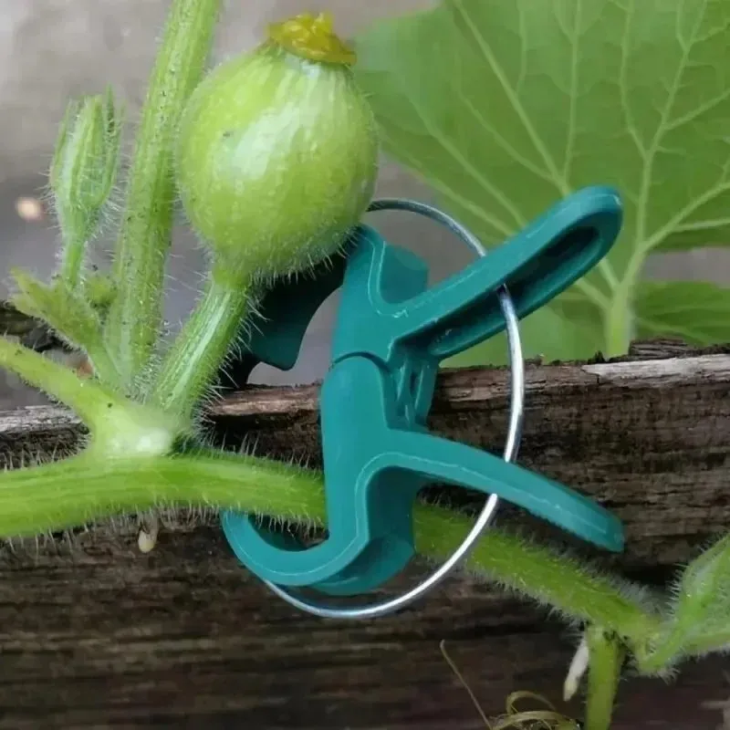 Wholesale Plant Fixed Clips Reusable Garden Bracket for Tomato Cucumber Climbing Plants Vine Organizing Branch Support Clip Tool