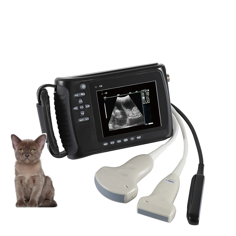 

EUR VET Medical Digital Vet Handheld Best Home Ultrasound Scanner Machine For Cow Pre gnancy