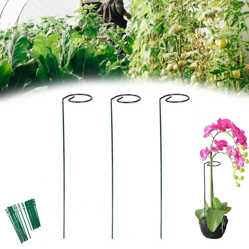 Iron Twist Stakes 3 Pcs Iron Plant Support Stakes with Twist Ties Spiral Tomato Climbing Stakes Garden for Vines for Tomatoes