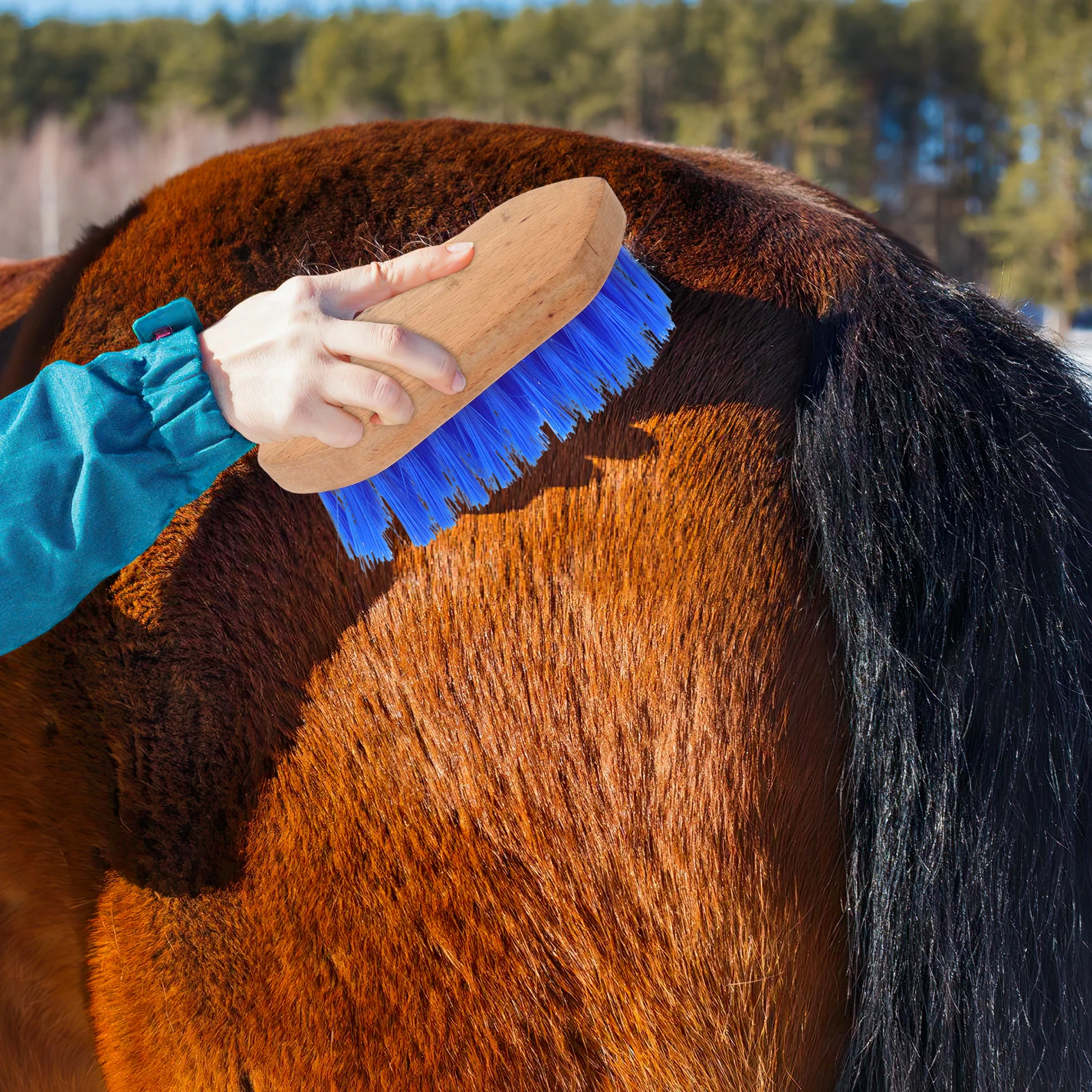 

Lightweight Grooming Brush Stiff Bristle Wooden Handle Anti Skid Hair Cleaning Comb Durable Horse Brush For Pet Horse Grooming