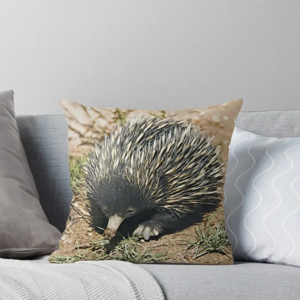 Australian Echidna 3 Throw Pillow ornamental pillows for living room covers for pillows Cushion Child Pillow