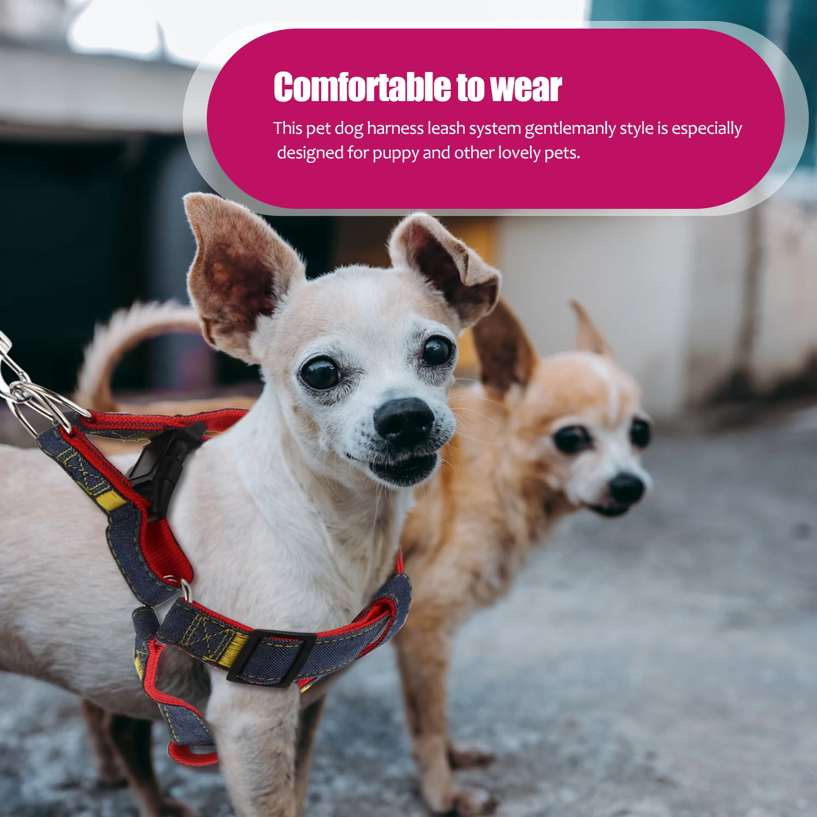 

Pet Harness Vest for Dogs Denim Adjustable Quick Release Buckle Escape Proof Traction Set Pet Supplies