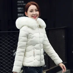 2024 Artificial Raccoon Fur Collar Winter Jacket Women Winter and Autumn Wear High Quality Parkas Outwear Women Coats