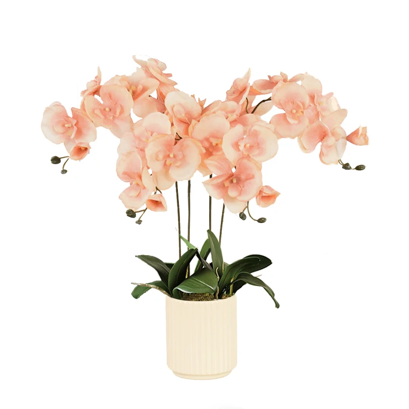 8 رؤساء كبير الحرير زهرة اصطناعية فرع السحلية فالاينوبسيس الأسود بورجوندي ديكور منزلي للزفاف الزهور بوعاء السحلية بالجملة