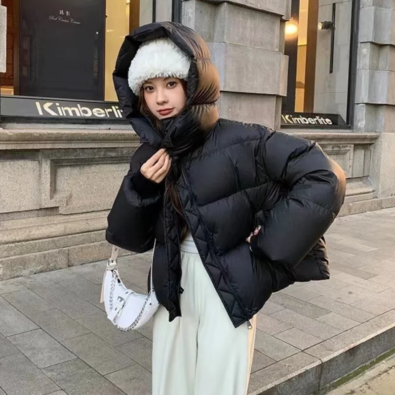 Monochrome Hooded Jackets for Women, Short Coats, Thick Warm Puffer Coats, Korean Fashion Outerwear, Simple Bread Clothing New