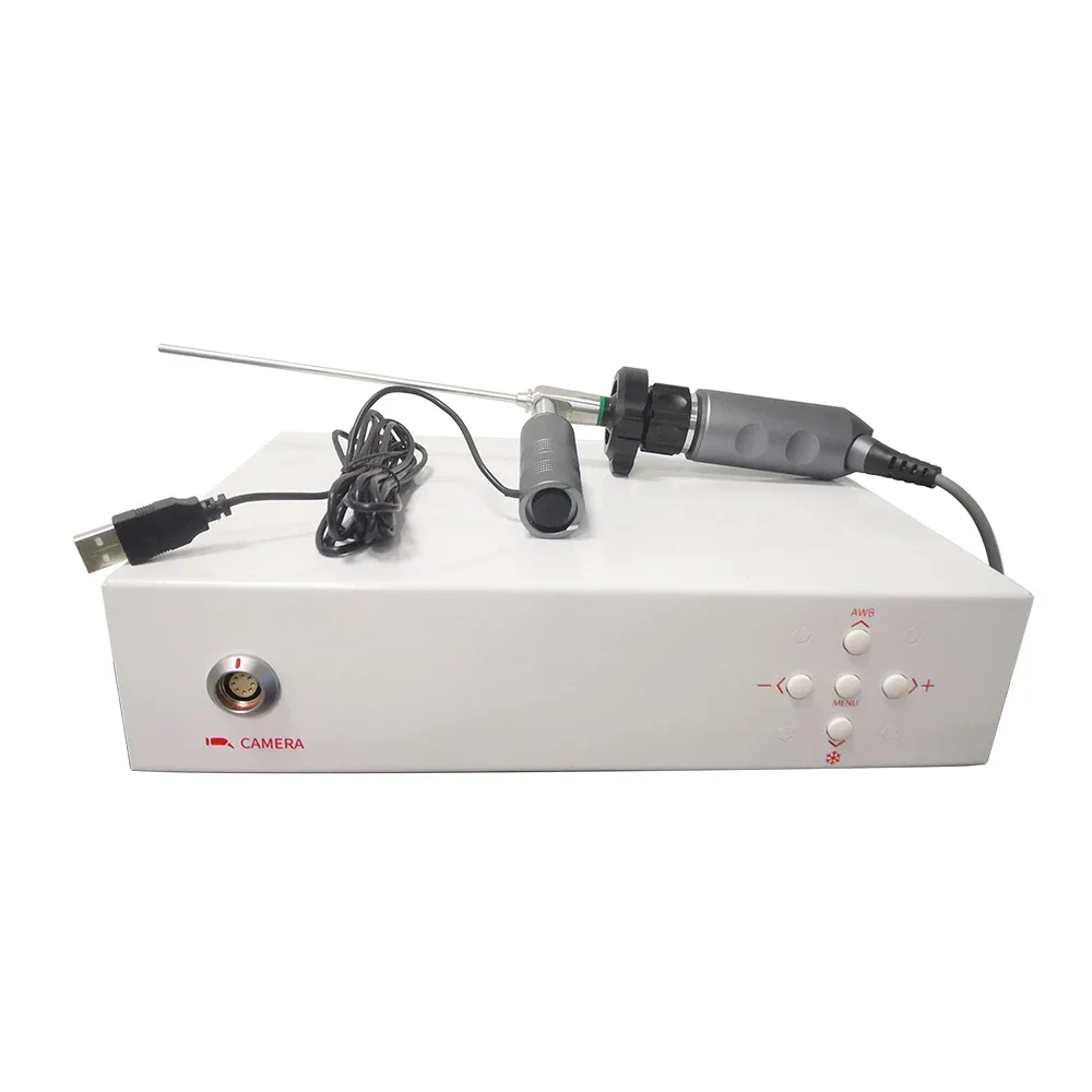 

Portable Endoscopic Imaging System