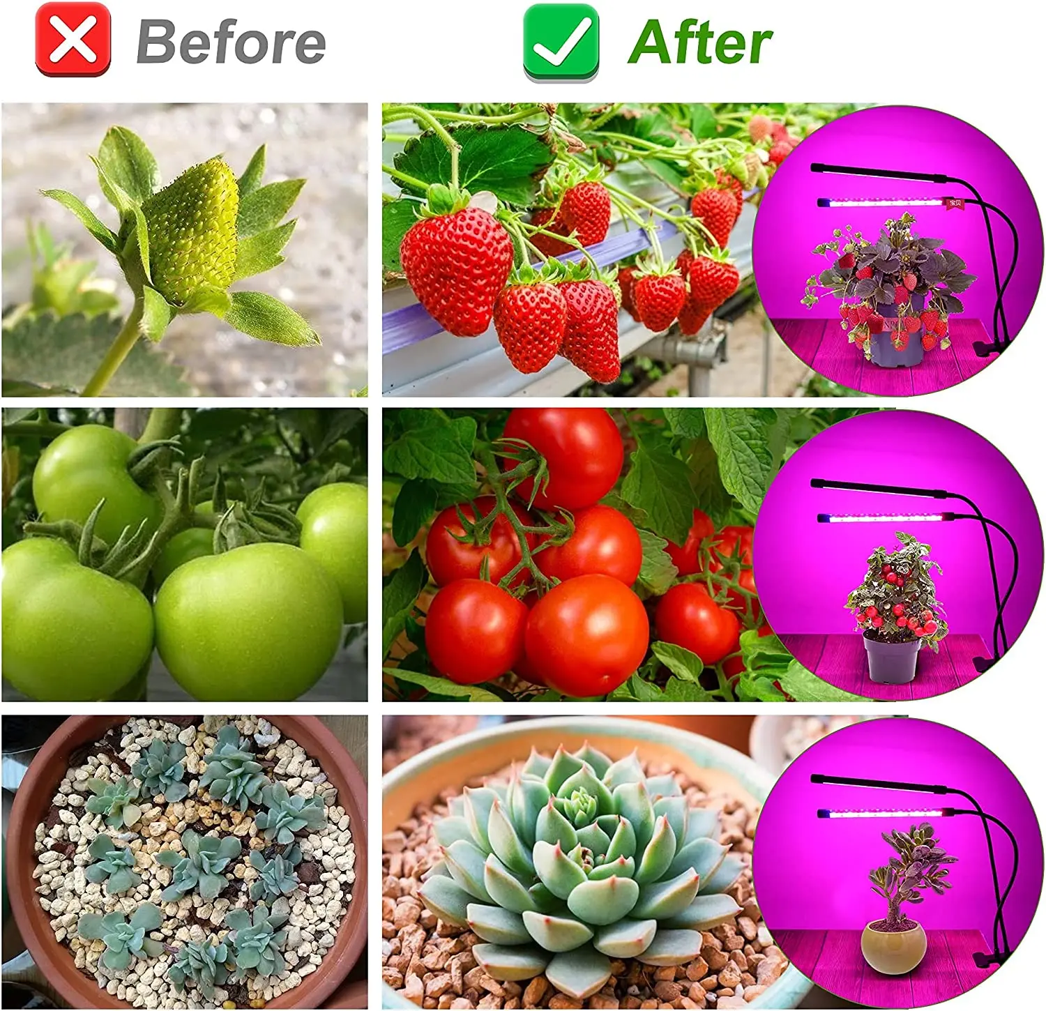 USB Phyto Lamp Full Spectrum Hydroponics Bulb LED Grow Light LED Indoor Plants Lamp For Greenhouse Veg Flower Phytolamp Grow Box
