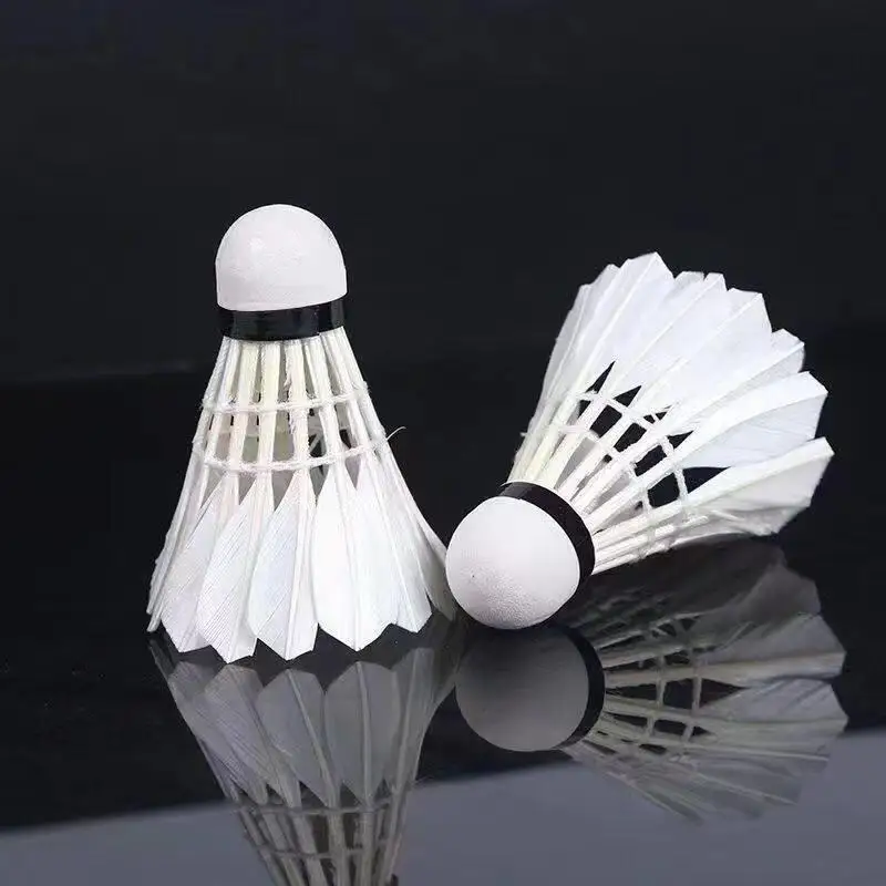 

Durable Badminton Shuttlecocks Set of 12 for Indoor And Outdoor Training Black And White Suitable for Primary School Students