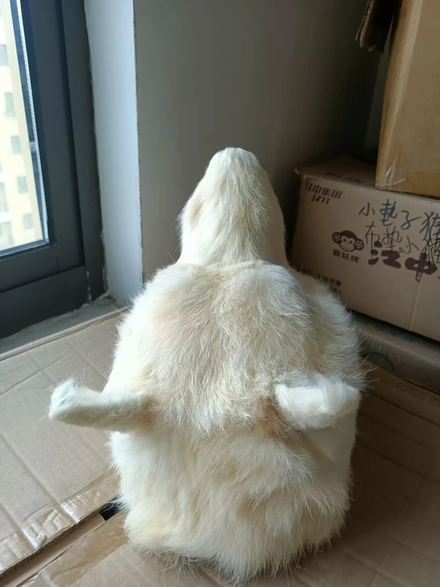 32x30cm Big Open-Mouth Wolf Head Simulation Model Plastic & Furs Home Desk Decoration Gift Wolf Model