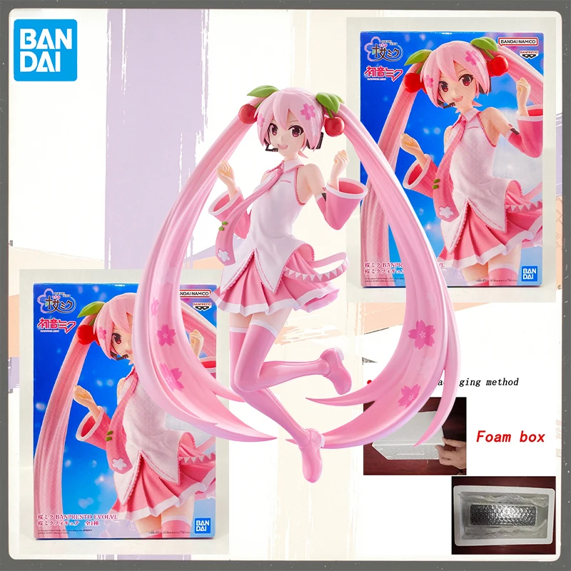 En stock, figurine d'anime authentique Banpresto Hatsune Miku BANPRESTO EVOLVE Sakura Miku, modèle de jouet, cadeaux