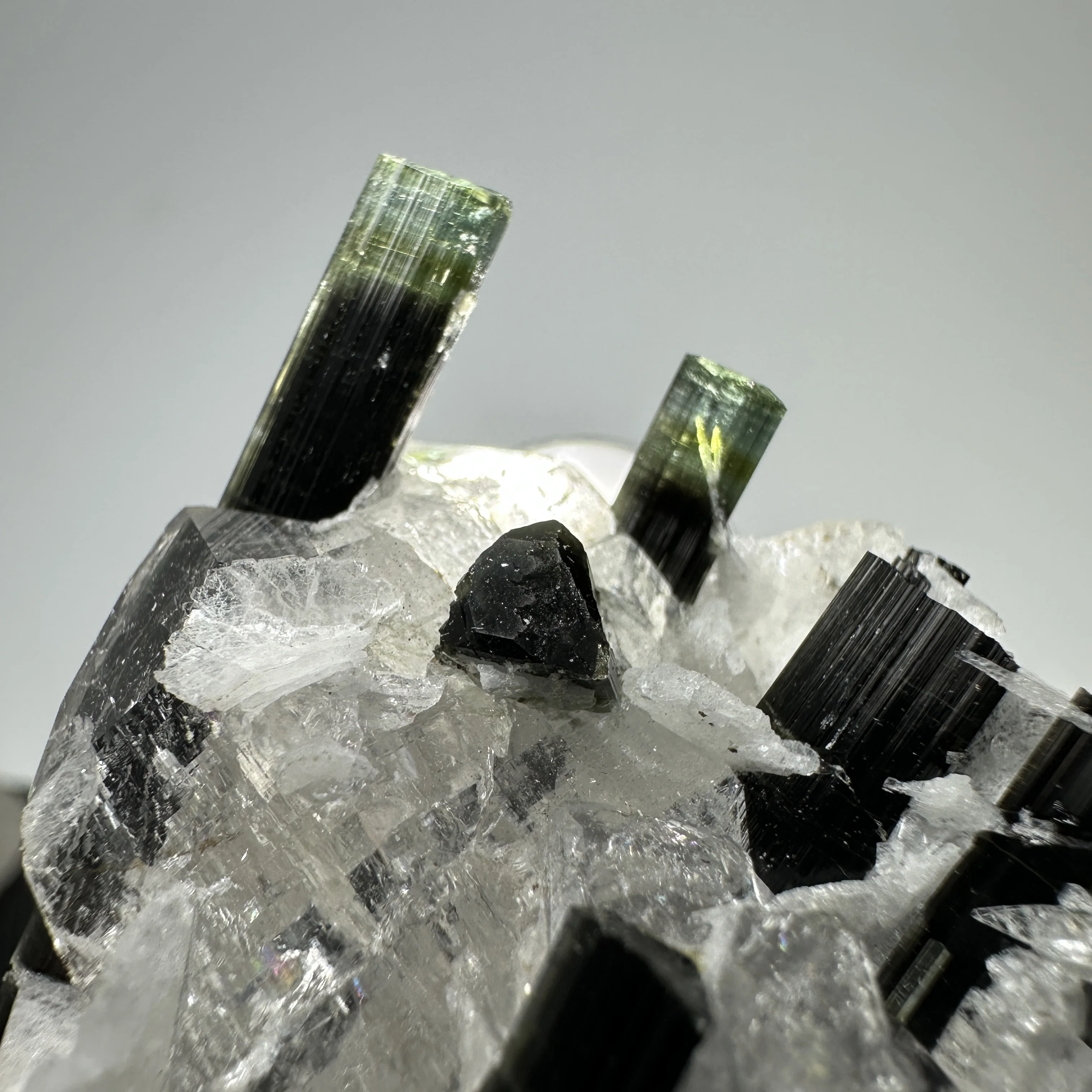 

Natural Quartz Crystal Tourmaline Symbiotic Mineral Specimen Raw Crystal Cluster Mineral Collection Home Decor