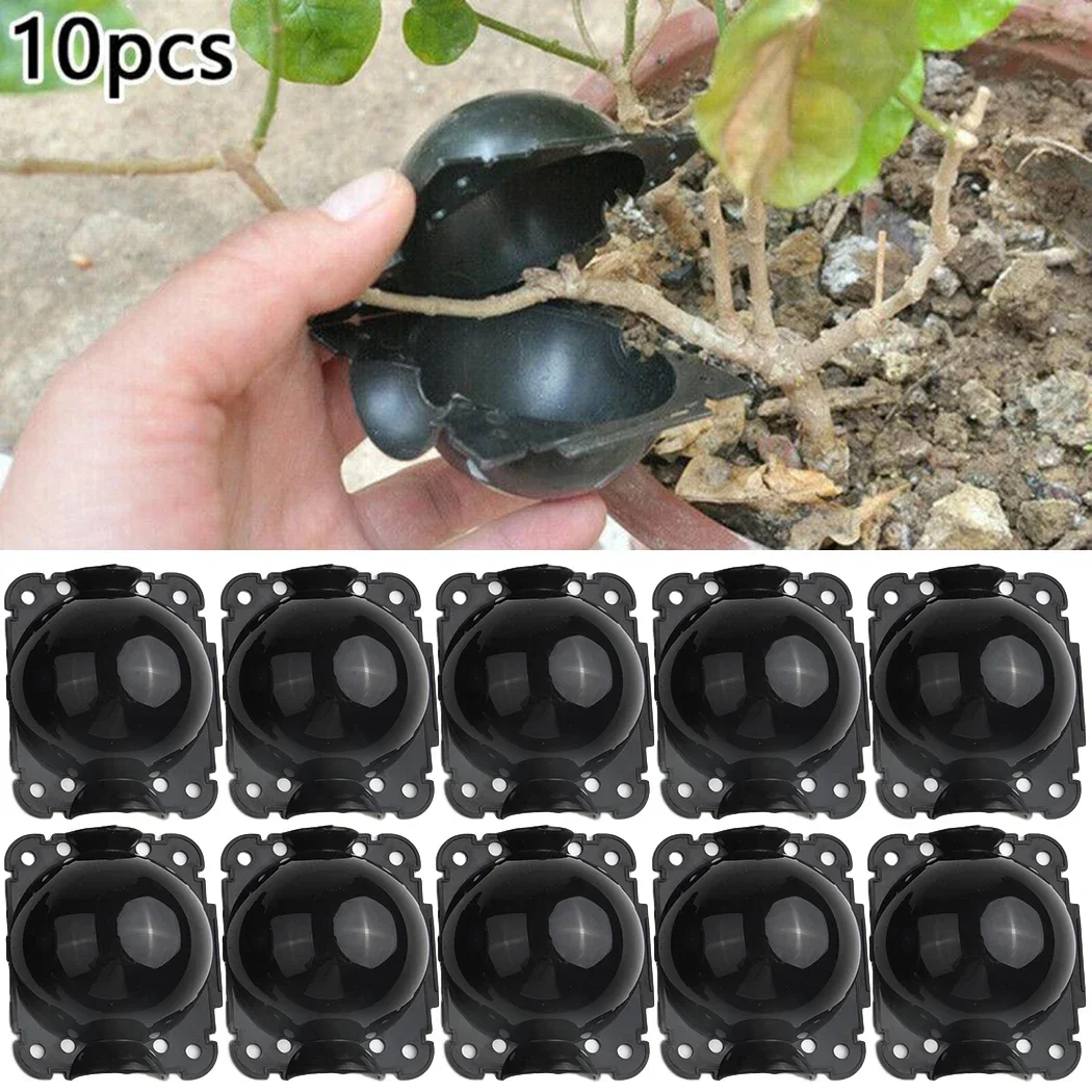 

10Pcs Plant Root Growing Boxes Cutting Grafting Rooting Boxes High Pressure Propagation Ball For Garden Graft Box Breeding Case