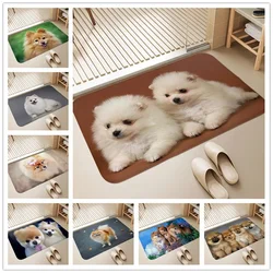 Pomeranian Dog Welcome Entrance Doormat Indoor Outdoor Floor Mat Washable Carpet for Bedroom Living Room Non-slip Kitchen Rug