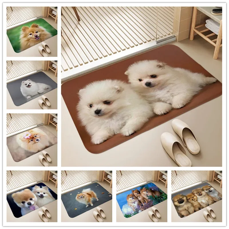 Pomeranian Dog Welcome Entrance Doormat Indoor Outdoor Floor Mat Washable Carpet for Bedroom Living Room Non-slip Kitchen Rug