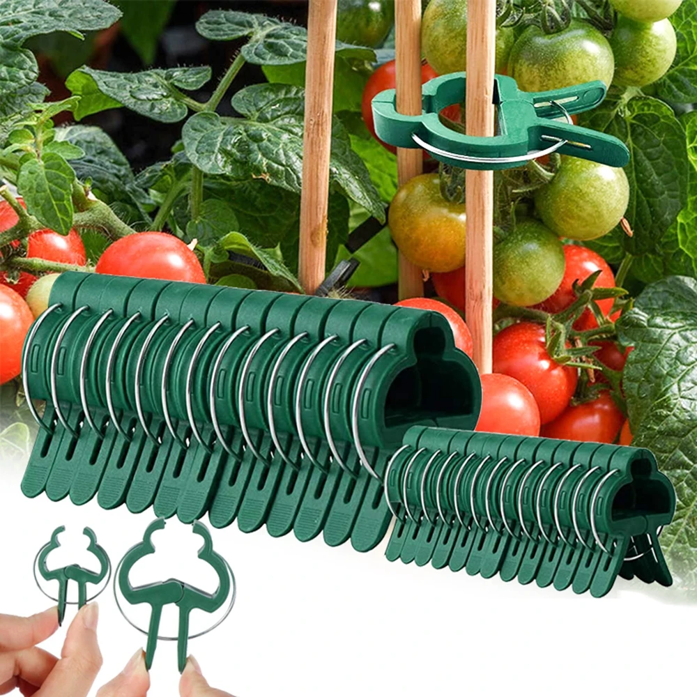 

Tied Bundle Vine Support Planting Branch Clamping Stakes Connector Plant Fixed Clamp Support Clips Garden Tool Farm Supplies