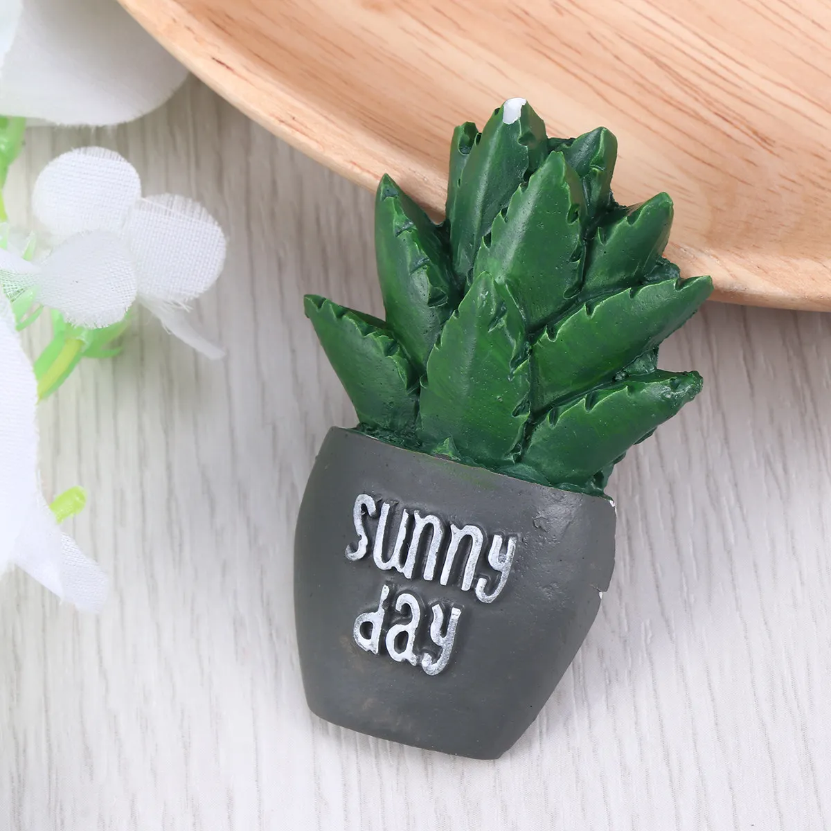 Succulent Cactus Fr…