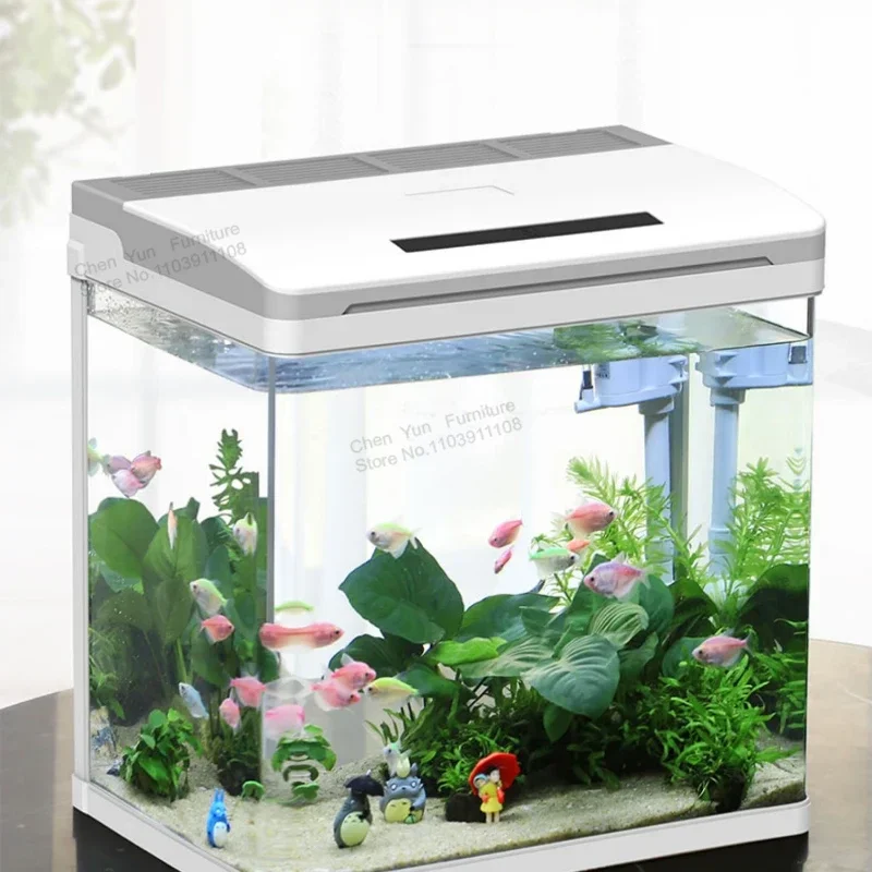 Light Loop Fish Tank Decoration Cobble Aquatic Pet Supplies Filtration Landscaping Fish Tank Glass Nordic Aquarium Pour Aquarium