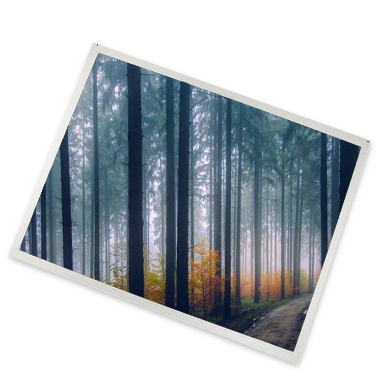 LQ121S1LG88 12.1 TFT-LCD Display Panel 800*600 Zhiyan supply