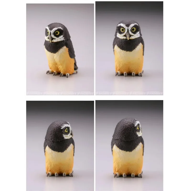 Original KAIYODO Blessed Owl Gashapon Qversion Mini Animal Action Figure Model Toys Gifts Cartoon Character Collection Ornament