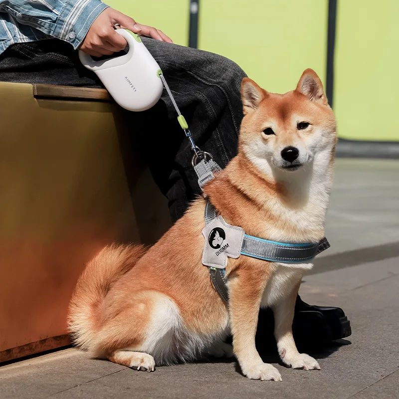 5M Automatic Retractable Pet Leash - Perfect For Medium To Small Dogs & Cats For Outdoor Travel & Walking!