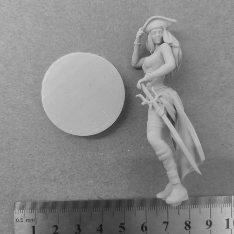 

Масштаб 1/24, 75 мм, фигурка из смолы, красивая и тонкая королева пирата, сборная модель, комплект в разобранном и неокрашенной 3D-статуи, игрушка