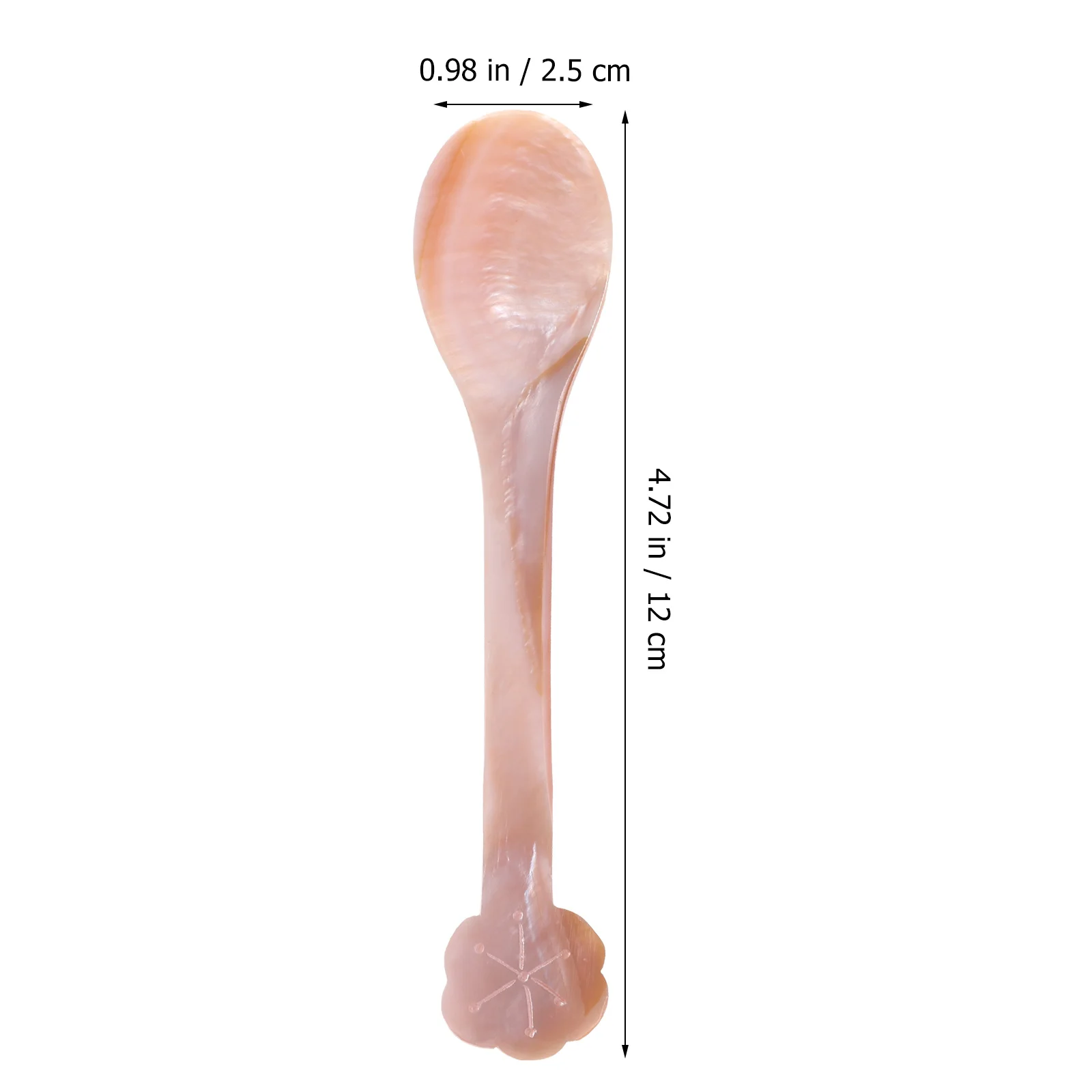 

Shell Spoon Natural Elegant Design For Coffee Dessert Soup Caviar Serving Compact Lightweight Kitchen Essential Decorative