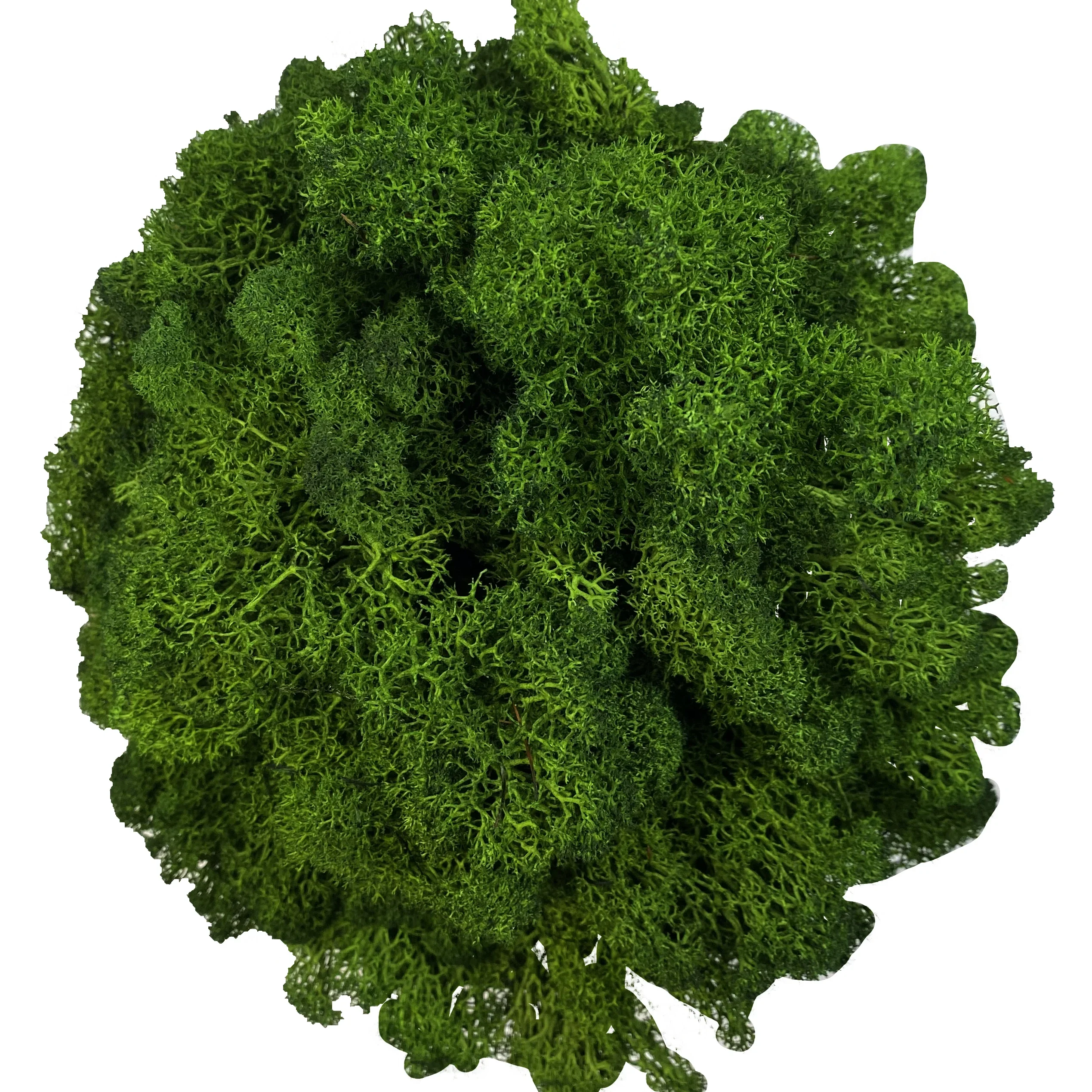 Artificial Moss for Potted Plants Fake Natural Green Reindeer Moss for Craft Arts Floral Wall Decor Wedding Garden Decoration