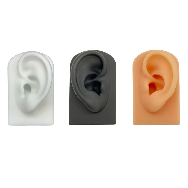 1:1 Human Ear Silicone Model Simulation Display Props Jewelry Display Earrings Dropship