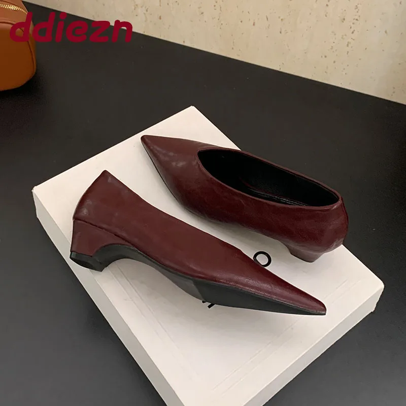 2025 New Fashion Shallow Ladies Décolleté con tacco basso Scarpe di lusso femminili con punta a punta Calzature Slip On Scarpe con tacco da donna