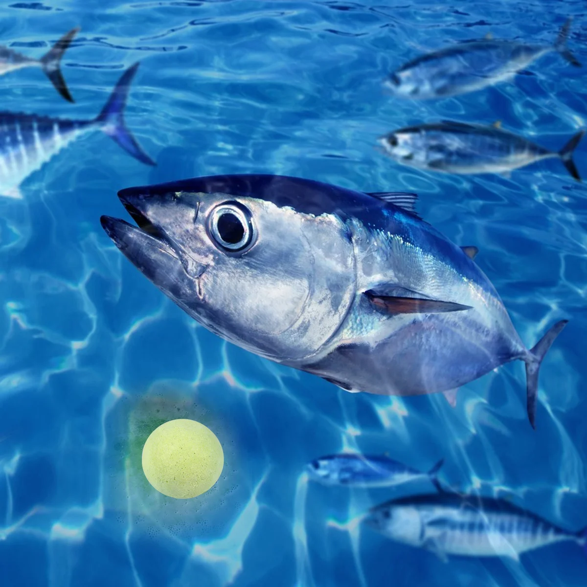 

3Pcs Wudu Bait Fish Attractant Scented Bubble Ball Lure for Freshwater Saltwater Fast-Acting 3-7 Minutes Long-Lasting Smell
