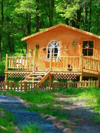 GA-4H-TX TX4 2.4Ghz…