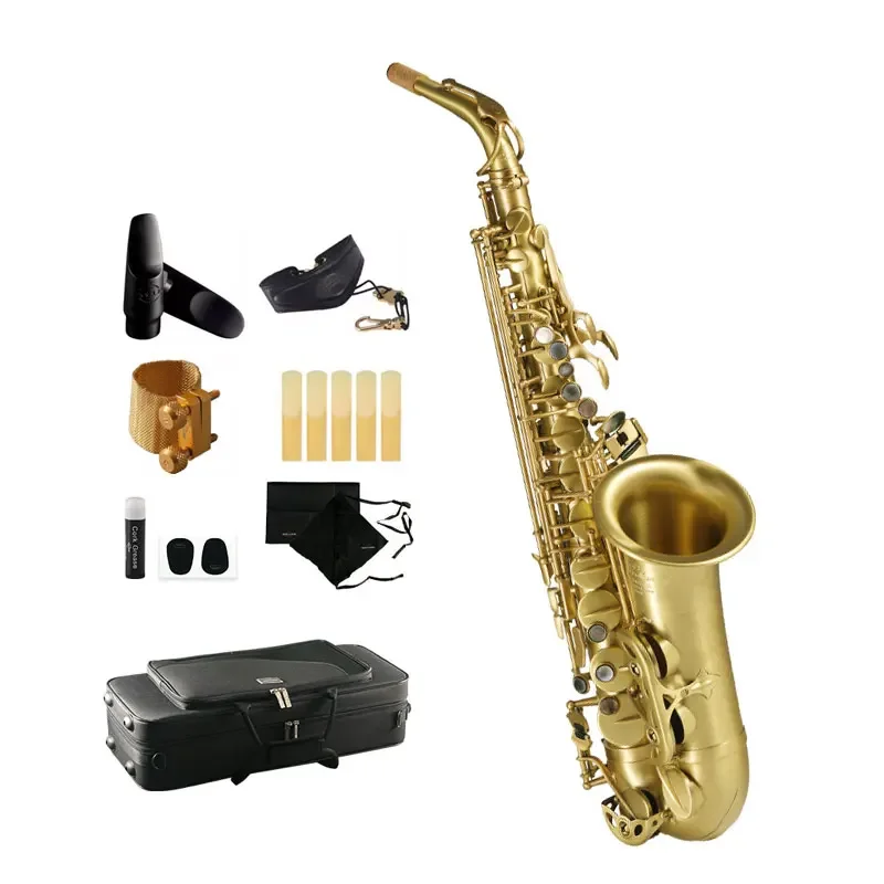 Professional High Grade Woodwind Instrument RSA-X5 Alto Saxophone