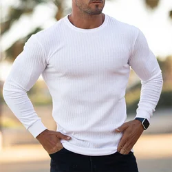Spring Autumn comfortable Sports T-shirt Fitness elastic Round neck stripe Long Sleeve T-shirt men quick-dry training sportswear