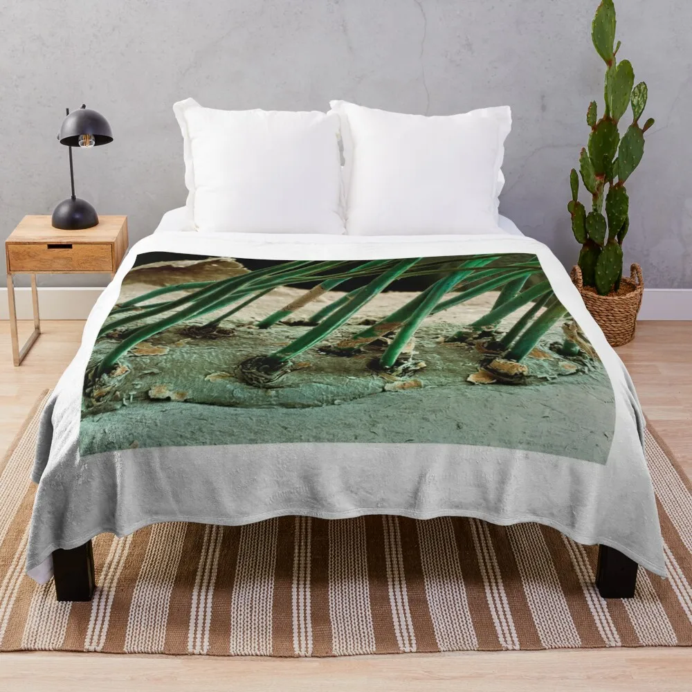 

Eyelash hairs, SEM (P720/0225) Throw Blanket Hairy sofa bed Thermals For Travel Blankets