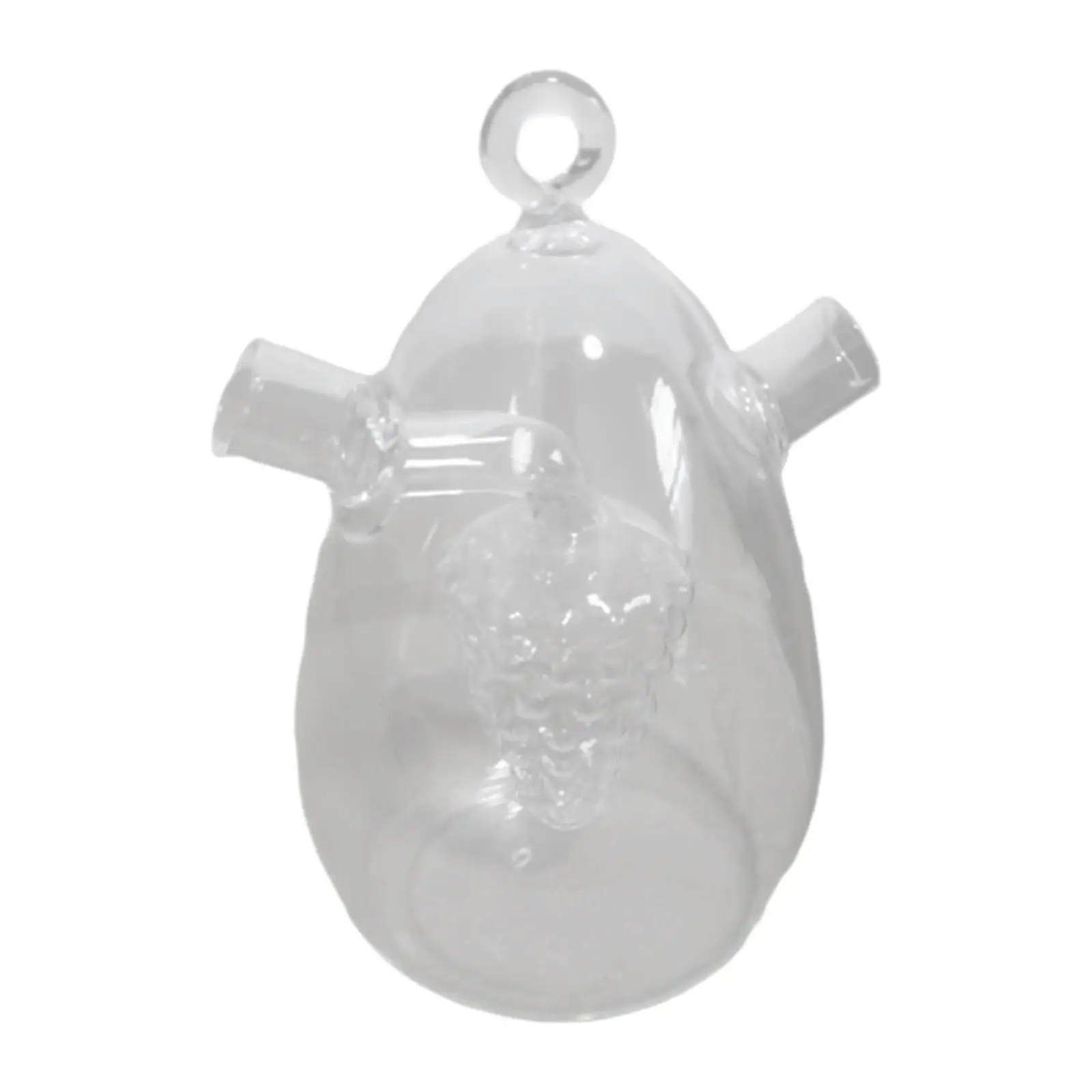 Olive Oil and Vinegar Dispenser Clear Cruet Dispenser for Cooking Kitchen