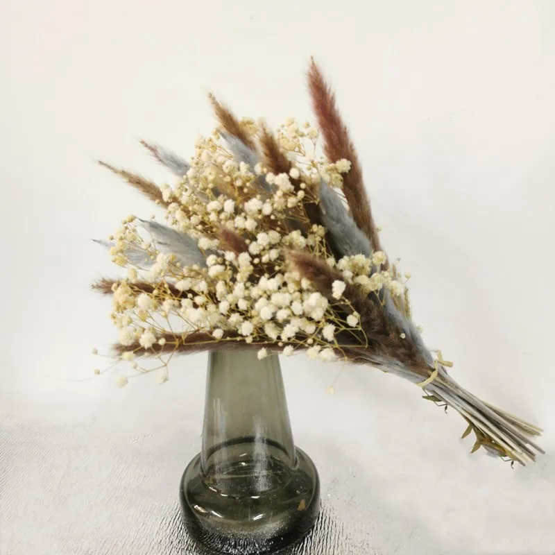 Pampas Natural Fresh Dried Preserved Flowers Gypsophila paniculata,Baby's Breath Pampas Flower Bouquets gift Flores Secas