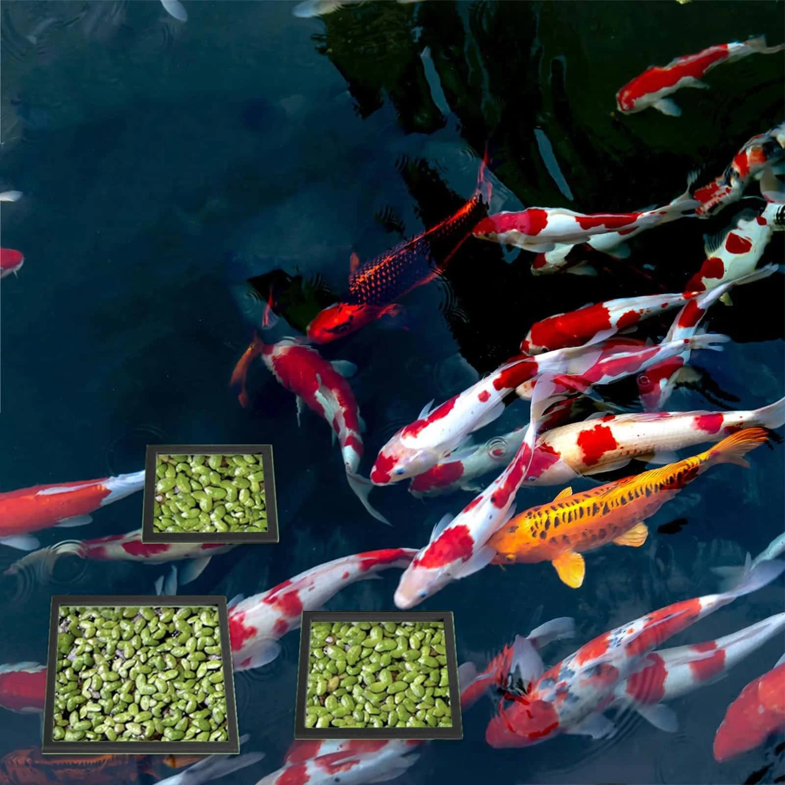 Thumbnail 2 - #17 Discounted Decorative Aquarium Plants Worth Buying
