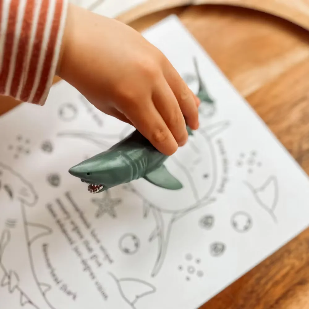 Toymany จําลอง Great White Shark Ocean สัตว์ของเล่นมินิตัวเลขตุ๊กตา Action ตุ๊กตาของเล่นสําหรับของขวัญเด็ก
