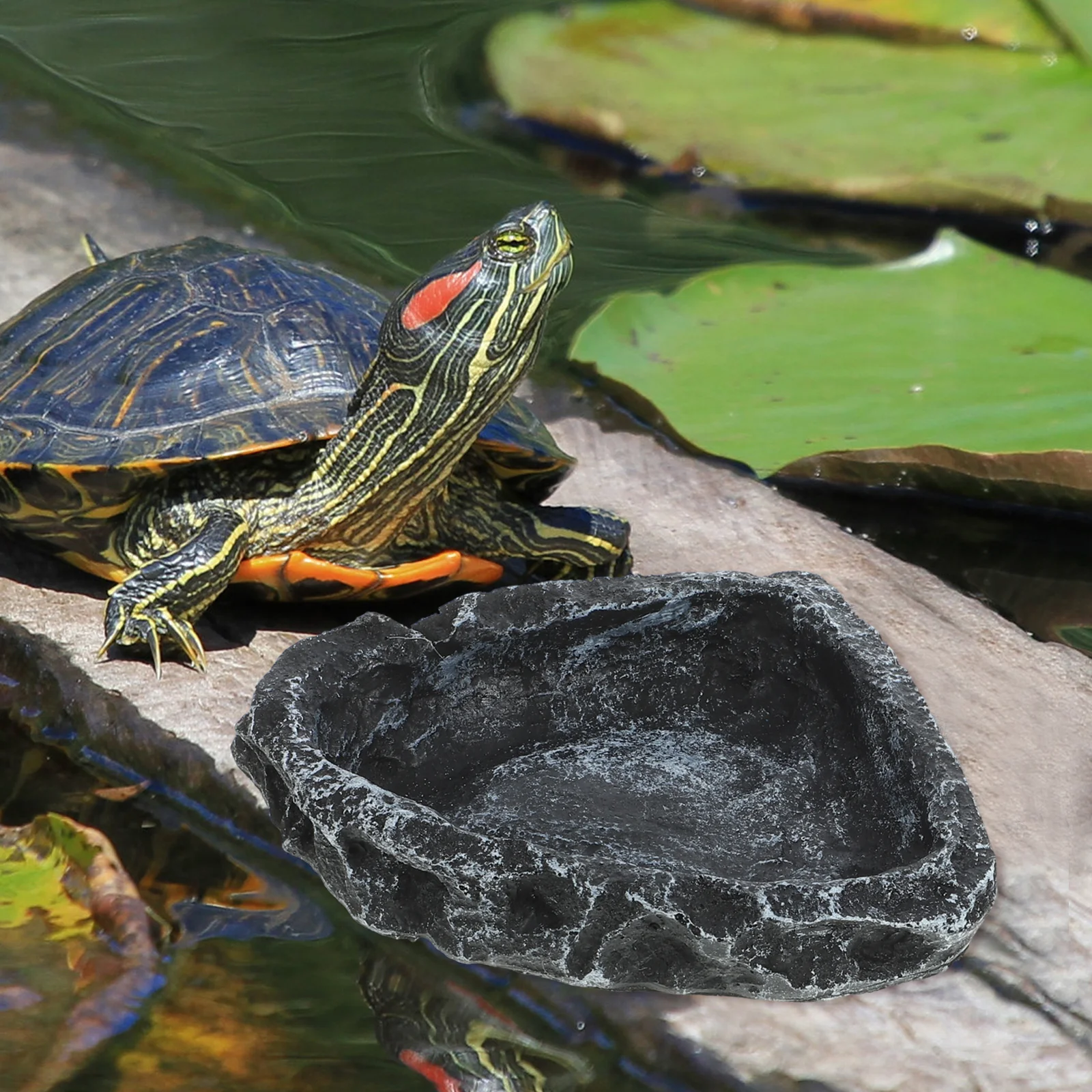 

2Pcs Reptile Food and Water Bowl Smooth Resin Feeder for Bearded Dragon Turtle Lizard Snake Crawling Pet Habitat Accessories