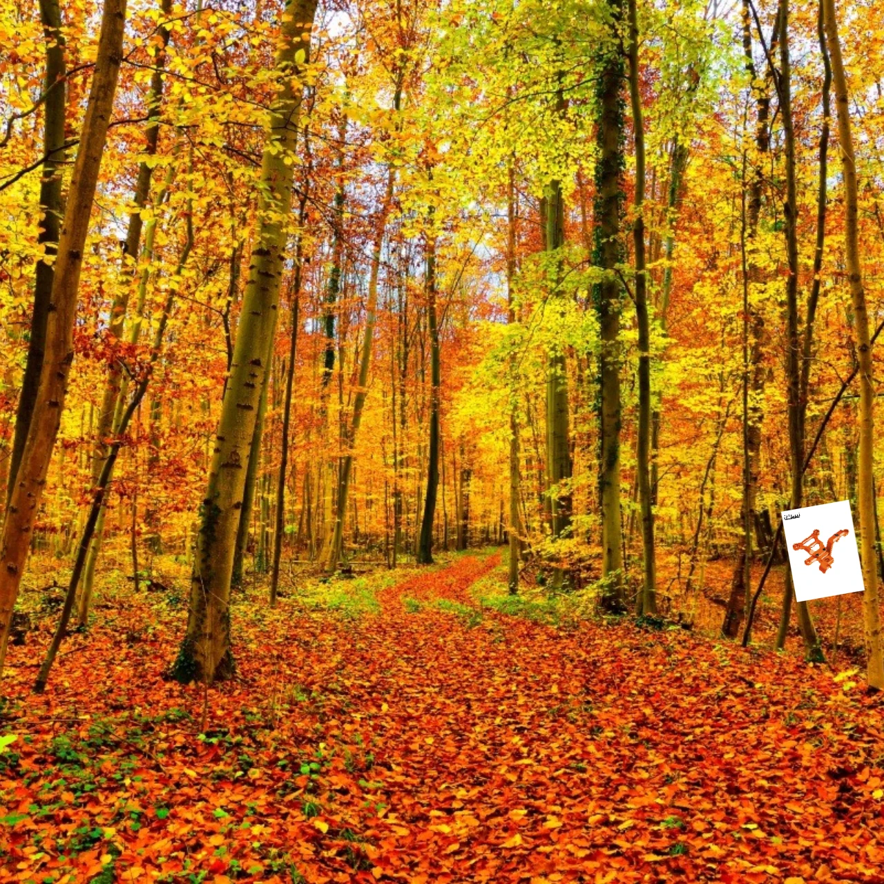 

GPM Aluminium Steering Bellcrank Support Kit for TRAXXAS 1/5 X-MAXX High-Quality Replacement Part