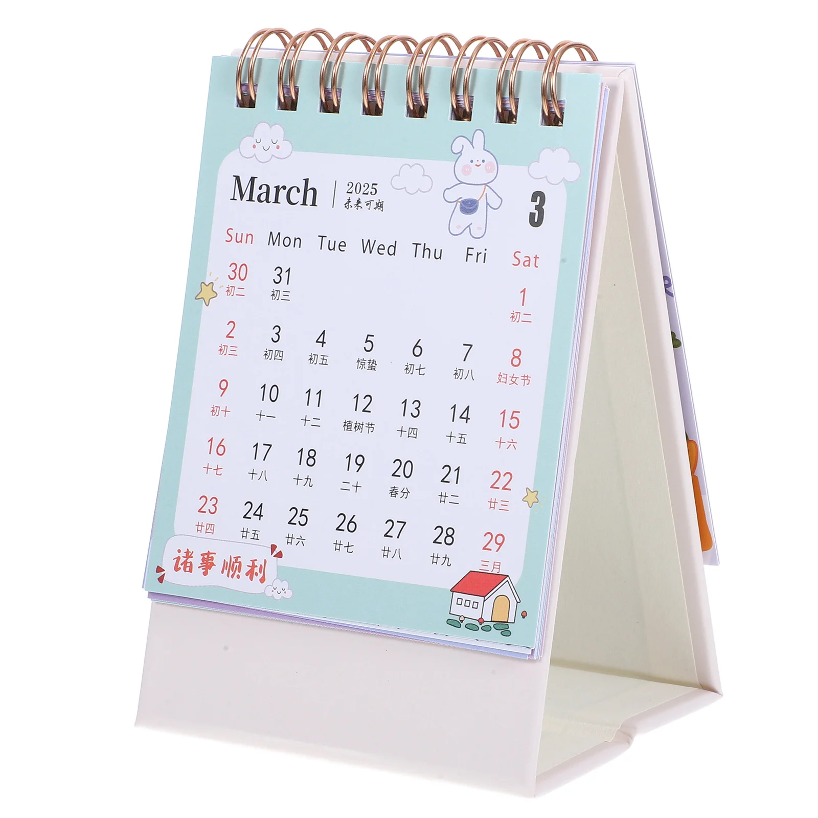 Desktop Calendar Planner Decor, Tabletop Flip, Professor Estético Desktop, 2025