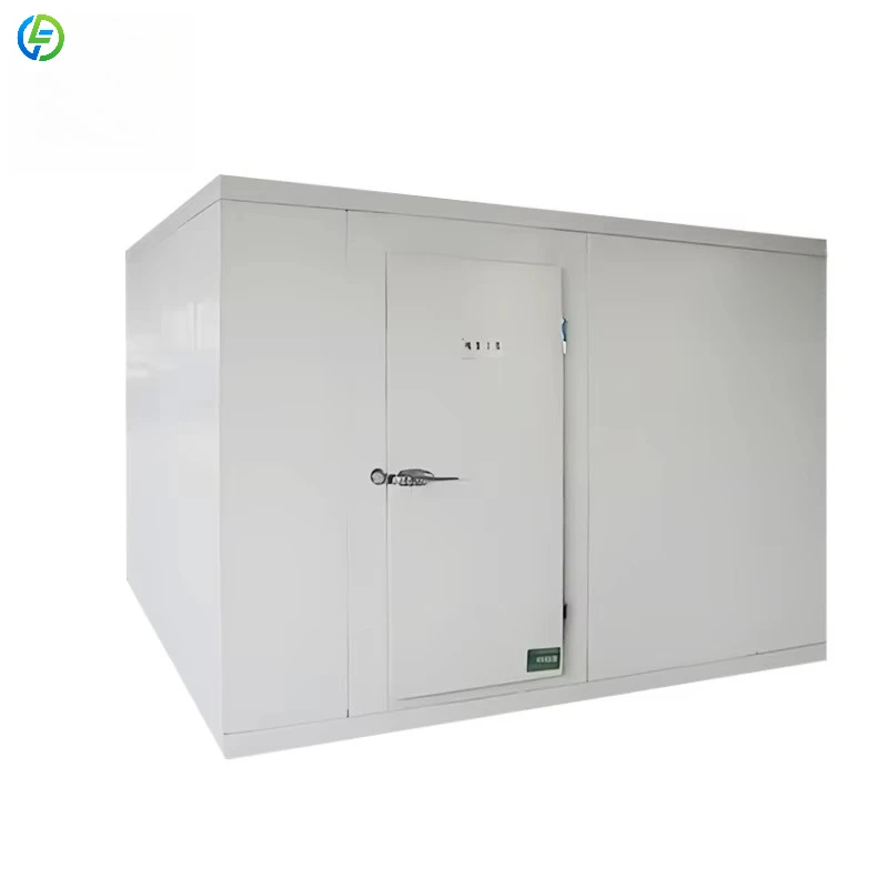 

Supplier Walk-in Cooler High Performance Walk in Chiller and Freezer Frozen Food Factory Walk in Chiller and Freezer for Kitchen